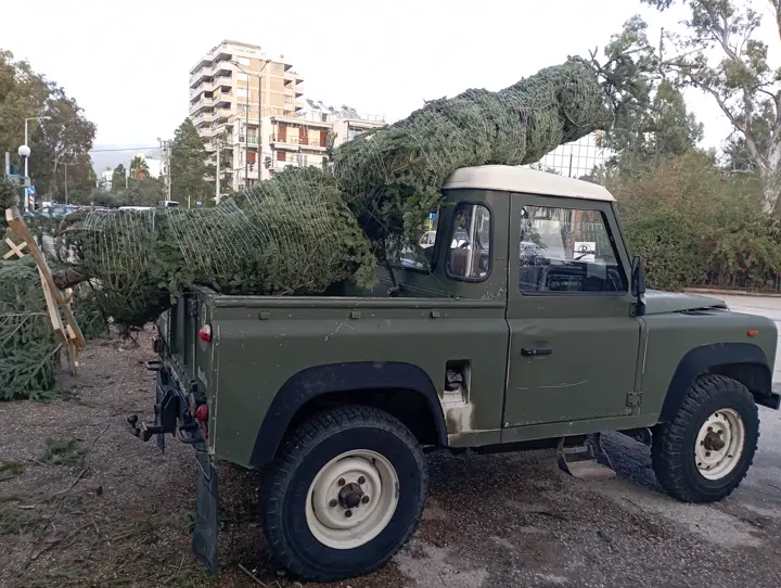 Έλατα φορτωμένα για παράδοση